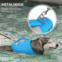 Queenmore XS Dog Life Jacket - Large / Lake Blue - image 3
