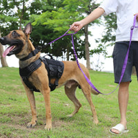 Tactical Dog Leash with Quick-Release Metal Clasp - 6 FT / Reflective Purple - image 2