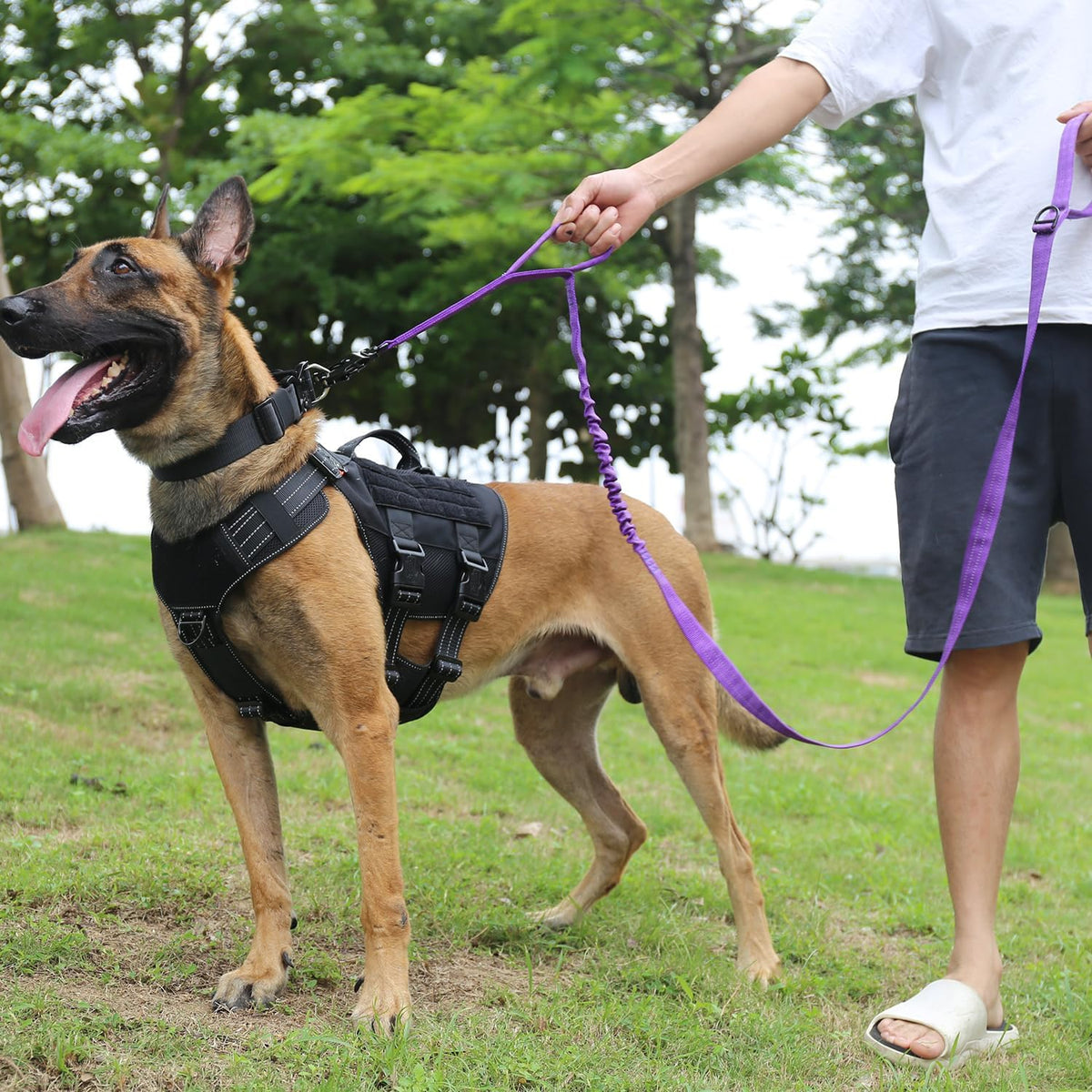 Tactical Dog Leash with Quick-Release Metal Clasp - 6 FT / Reflective Purple - image 2