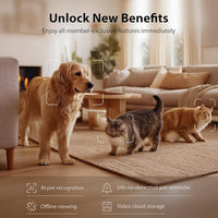 Automatic Cat Feeder with Camera, 1080P HD AI Pet Recognition Recording, 5G WiFi APP Remote Control, Timed Programmable Food Dispenser, Two-Way Audio, with Night Vision Function and Desiccant