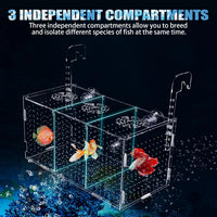Fish Breeding Box, Acrylic Isolation Box Aquarium Hatchery Incubator with Suction Cups for Newborn - image 4
