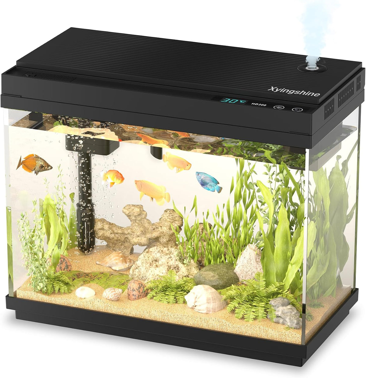 2.5 Gal Fish Tank Starter Kit, Smart Self-Cleaning Desk Aquarium – Essentials for Fish