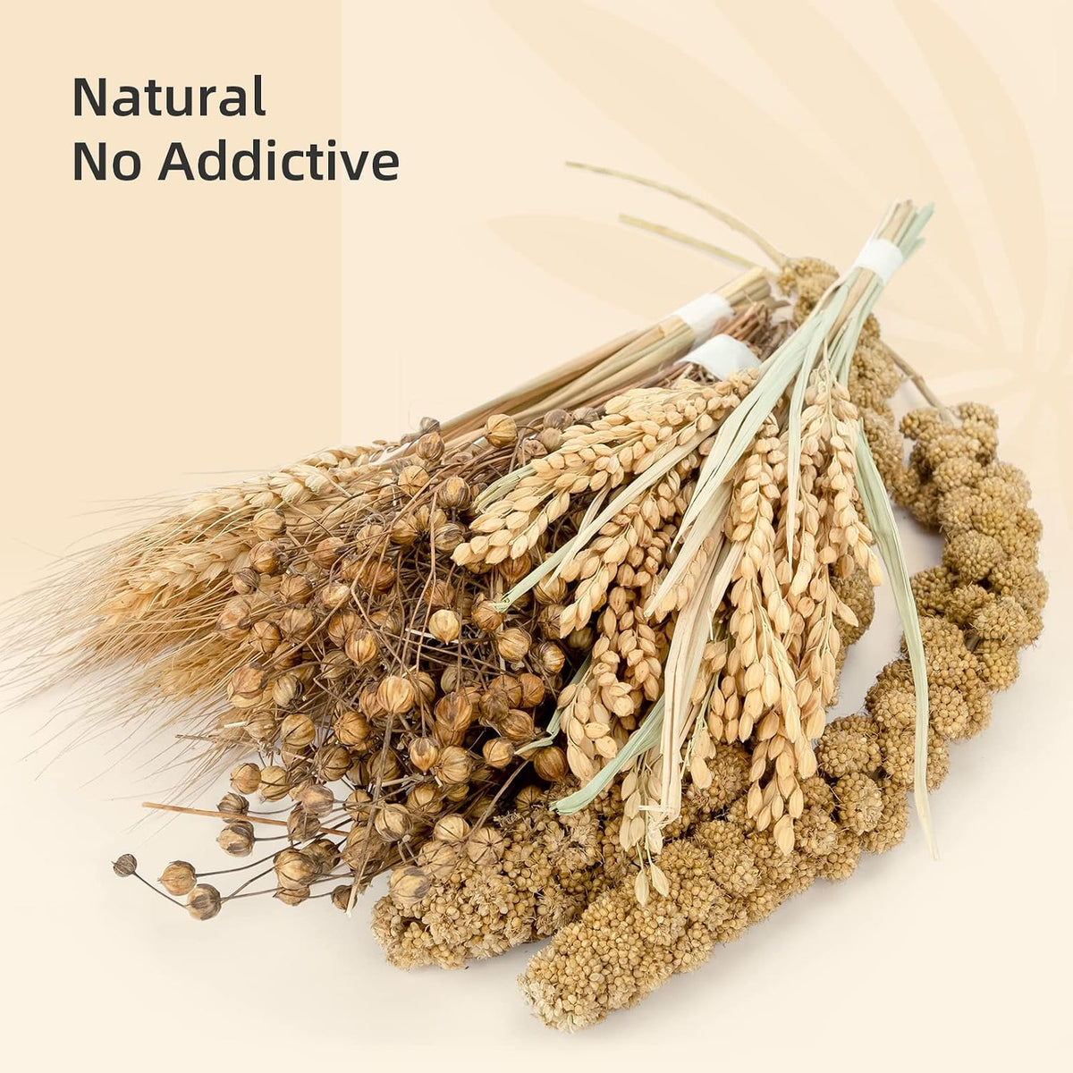 Niteangel Natural & Soft Hamster Bedding Mate: Air-Dried Flowers - Harvest Version - image 4
