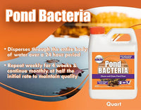 Pondworx Pond Bacteria - Concentrated & Formulated for Large Ponds, Water Features - Safe for Koi - 32ounes & Treats up to a Quarter Acre Pond