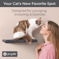 Wall Mounted Cat Perch Long Shelf by Pryde Pets - Floating Hammock Bed, 100% Sustainable PET Felt Feline Enrichment Climber Furniture for Indoor Cats, Modern Climbing Gym Jungle Design (Charcoal)