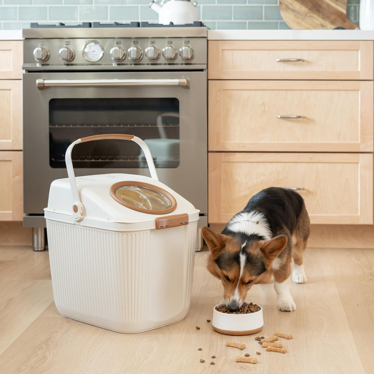 Harry Barker Small Modern Dog Bowls, Non-Slip Base - Small Bowls - image 3