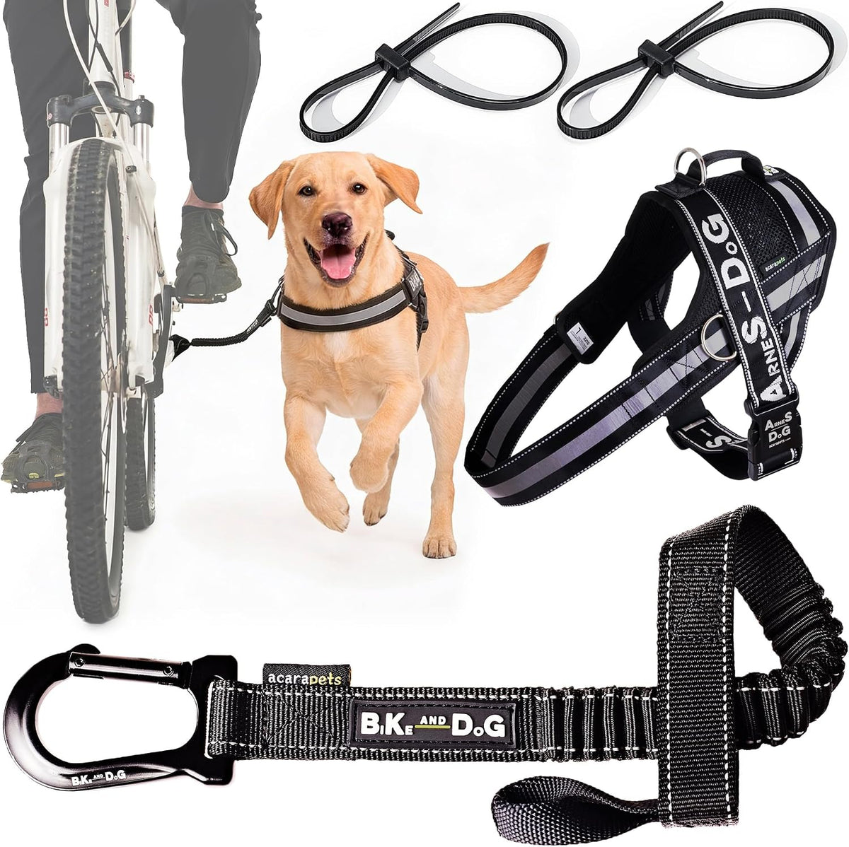 BIKE AND DOG, Dog Leash and Harness for Bicycle - Black / Leash & Harness L