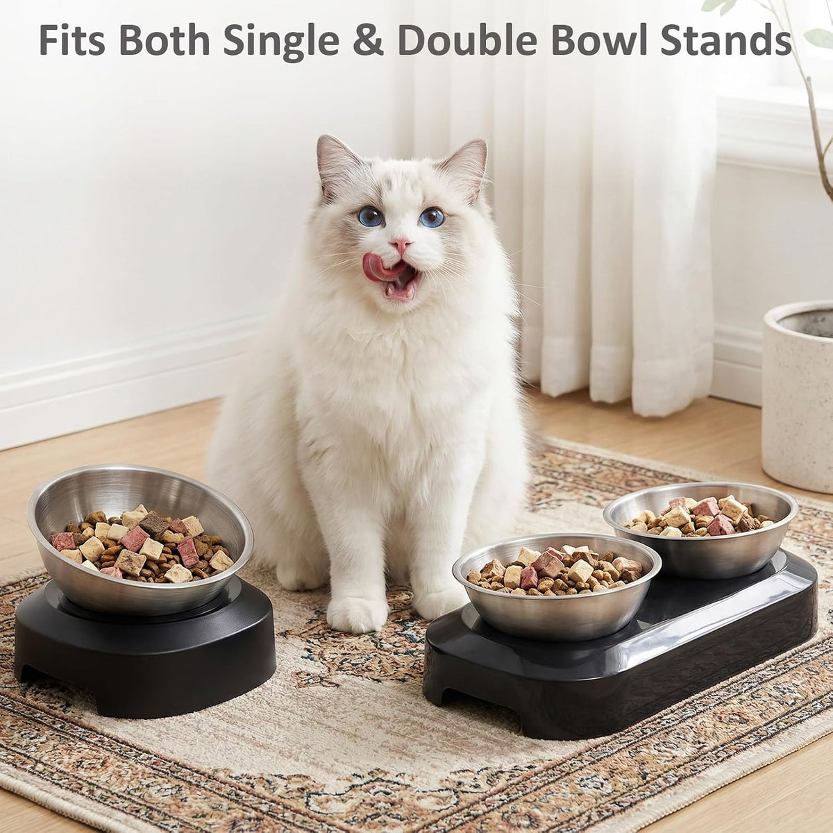 AYADA Raised Cat Food Bowl Stainless Steel 15 Degree Tilt – Essentials for Cats - Replacement - image 4