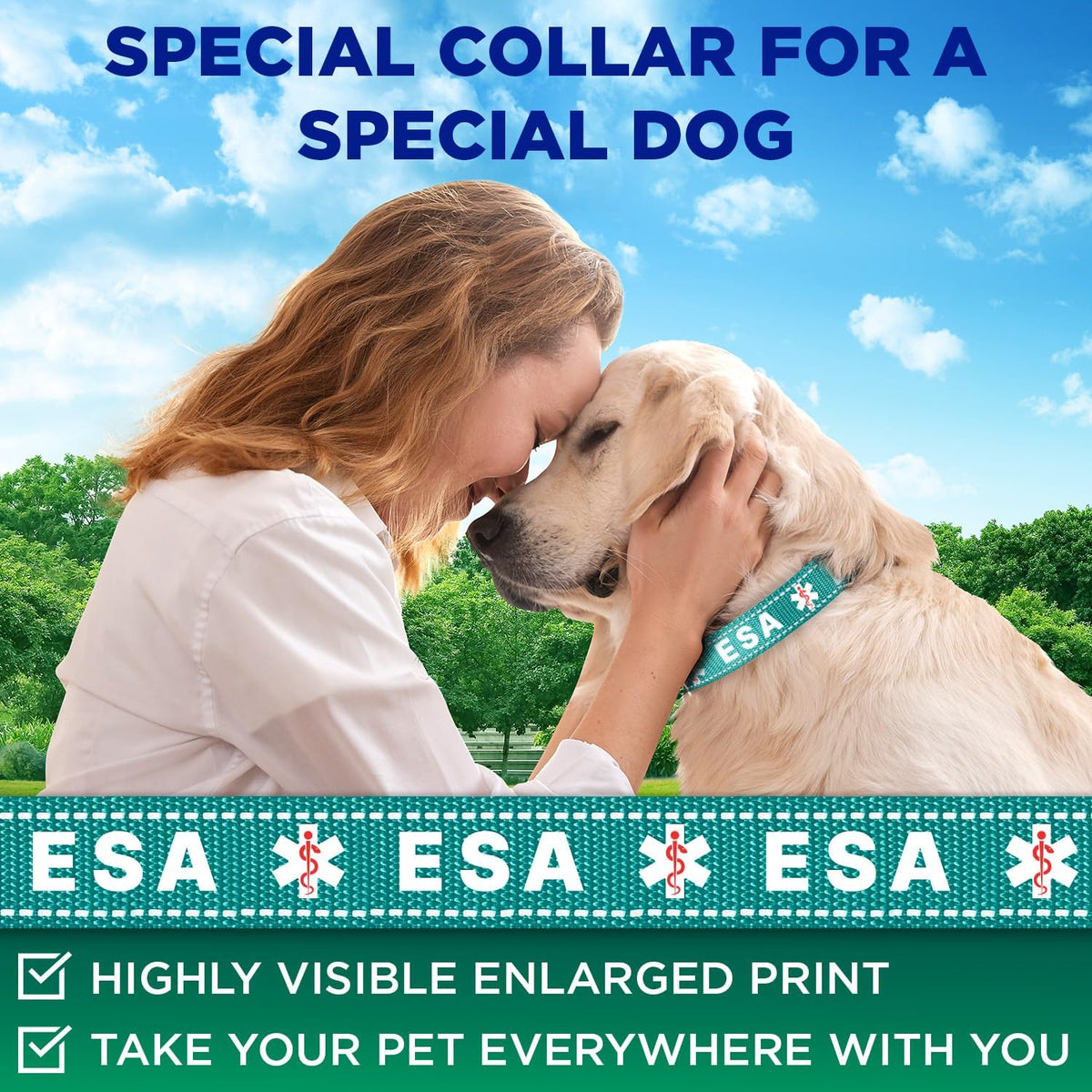Reflective Neoprene Padded Dog Collar with Quick Release Buckle – Essentials for Dogs - Teal - ESA / X-Large - image 2