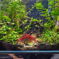 BESTOYARD Fish Tank Decor Artificial Plastic Bonsai Tree, Red Aquarium Ornament for Fish Tanks, 11.81 X 9.05 X 3.93 Inches