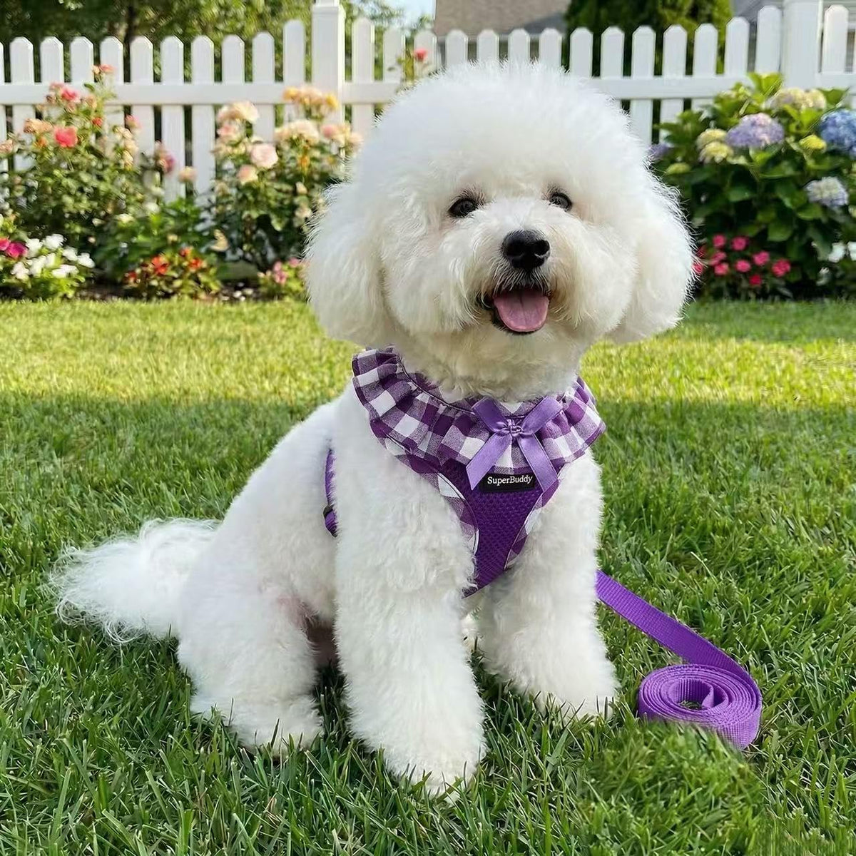SuperBuddy Upgraded Soft Mesh Dog Harness - M (Neck Girth 13"; Chest Girth: 13"-18.5") / Purple-2 - image 3