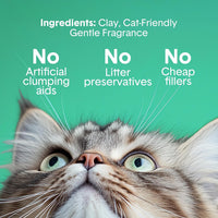 Boxie Premium Unscented Clumping Cat Litter 30+ Day Odor Control – Daily Care for Cats - Gently Scented / 40 lb - image 4