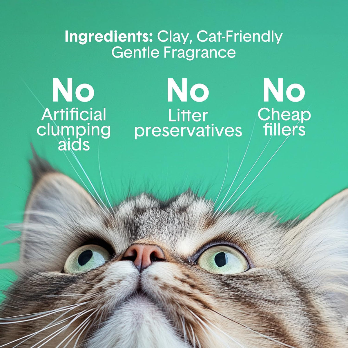 Boxie Premium Unscented Clumping Cat Litter 30+ Day Odor Control – Daily Care for Cats - Gently Scented / 40 lb - image 4