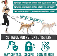 PetAmi Hands Free Dog Leash, Dog Running Leash Belt for Walking, Jogging, Dog Waist Zipper Pouch with Poop Bag Dispenser, Dual Padded Handles, Reflective Durable Bungee Leash, Single, Charcoal Grey