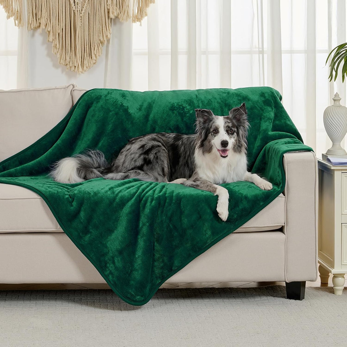 Soft Waterproof Blanket for Bed Couch Sofa - 50x60 inches / Green - image 2