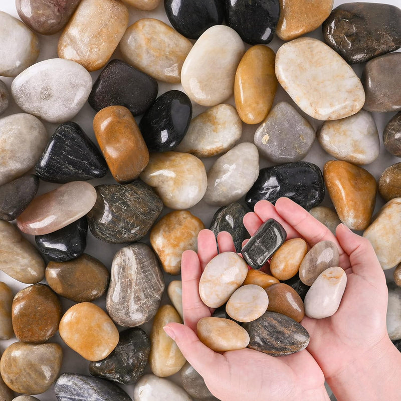 River Rocks for Plants 5.5 LB Small Decorative Pebbles 1"-1.5" - 5.5 LB (88oz) / Natural