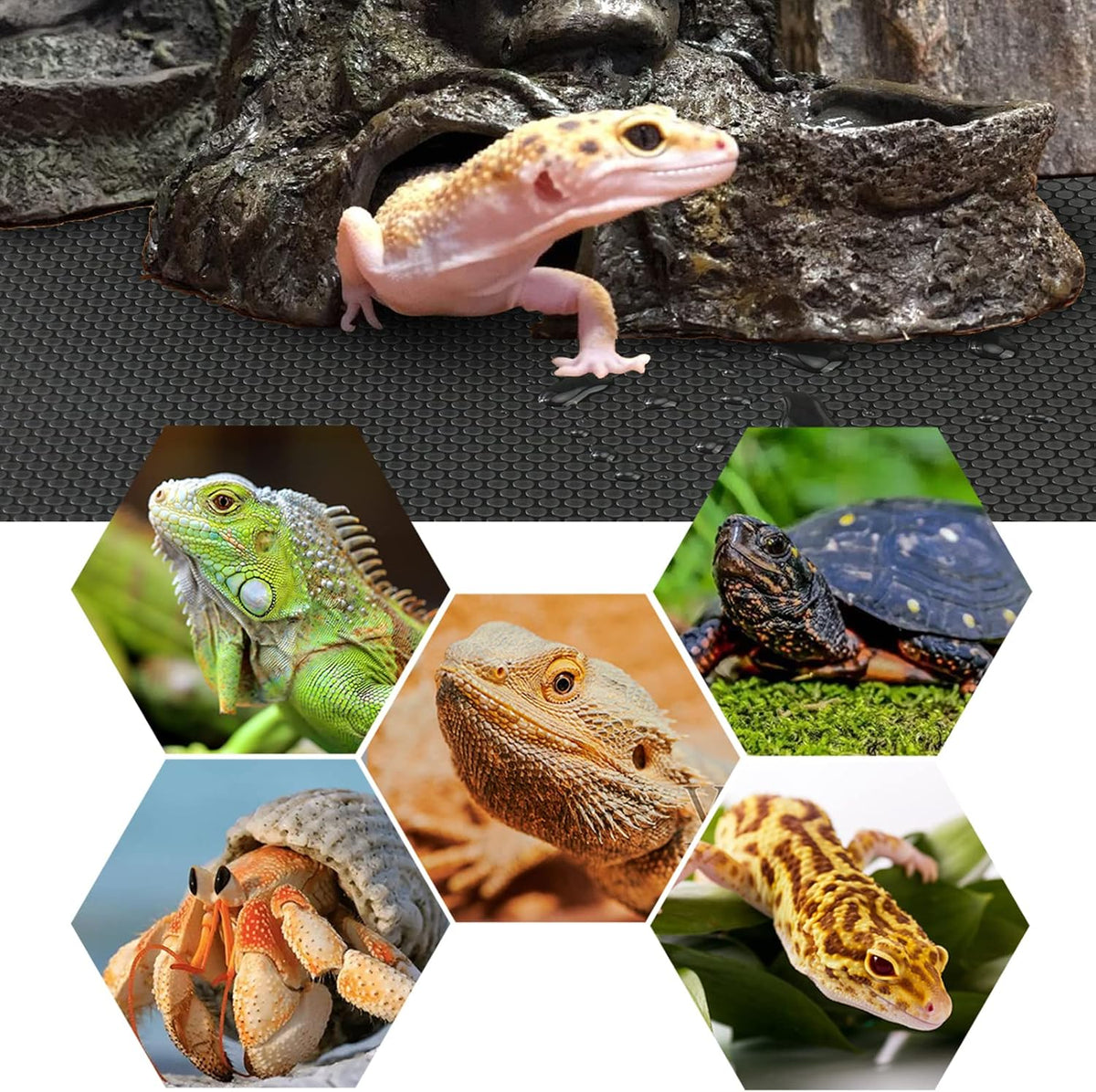Bearded Dragon Tank Accessories - 118inch (Pack of 2) / Black - image 2