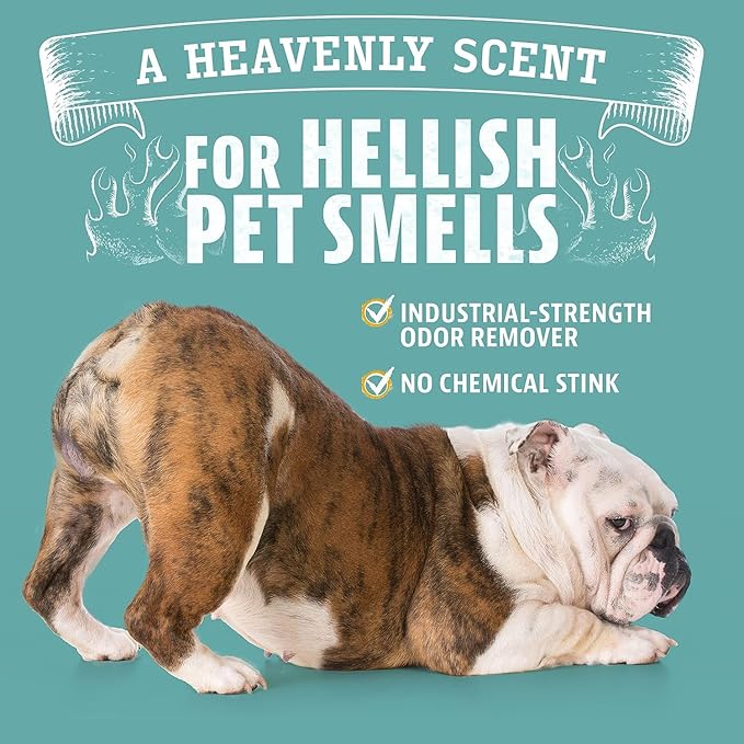 ANGRY ORANGE Pet Odor Eliminator for Dog and Cat Urine, Carpet Stains, and Strong Smells – Citrus Cleaner with Natural Orange Oil – 24 oz