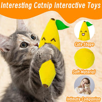 Seyezo Catnip Toys for Indoor Cats, Cat Toys for Cats, Vegetable - 5 pack-Vegetable - image 3
