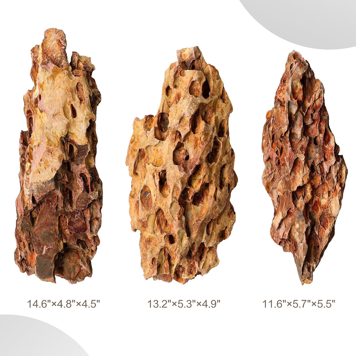 6.1-8.1 Inches Natural Dragon Stone, Terrariums - 10.0-12.0 in - image 3