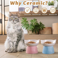 Ceramic Raised Cat Bowl，Tilted Raised Cat Bowl Anti Vomit Cat Bowls - Pink+Blue - image 3
