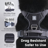 Pawaii No Pull Dog Harness with Pet ID Tag, Reflective Vest – Essentials for Dogs - L (Chest: 27"-32" ) / Davy's Gray - image 4