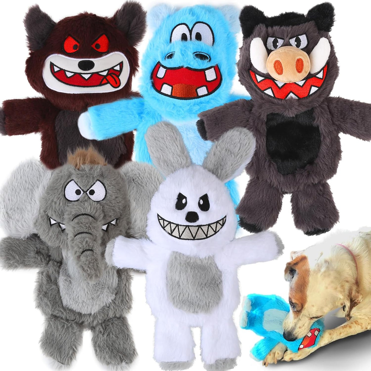 No Stuffing Dog Squeaky Toys - 5 Pack