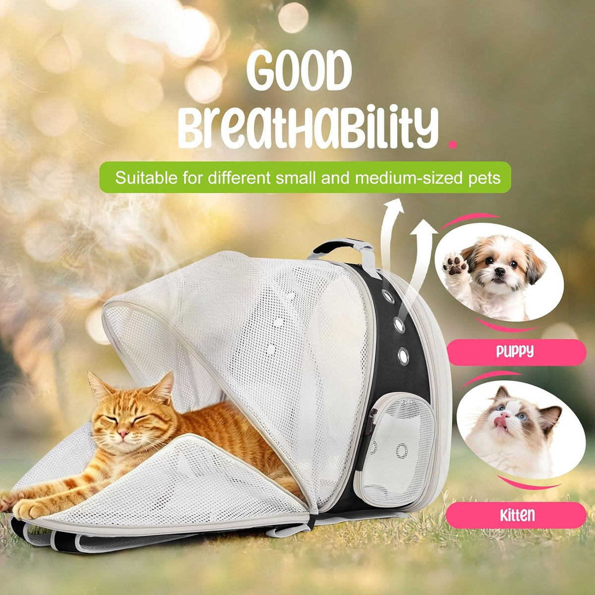 Dual Expandable Large Cat Backpack Carrier – Essentials for Cats - Black / Clear Window - image 4