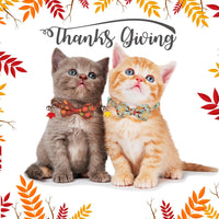 Fall Cat Collar with Bowtie - 7.5"- 10.5" / Fall - image 3
