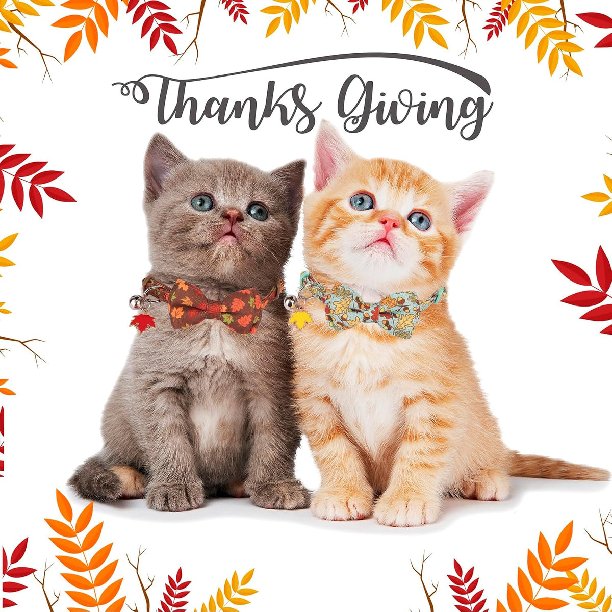 Fall Cat Collar with Bowtie - 7.5"- 10.5" / Fall - image 3