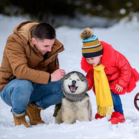 Dog Noise Cancelling Ear Muffs No Flap Ear Wraps for Dogs