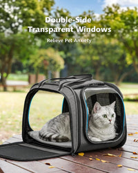 Pecute Cat Carrier, Double Bubble Pet Carrier for Cat Small Dogs - 16.9"L x 11.8"W x 12.6"H / Gray - image 3