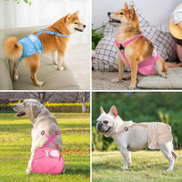 Idepet Female Dog Diapers with Suspender Detachable - Pink/Blue/Carneose / S - image 2