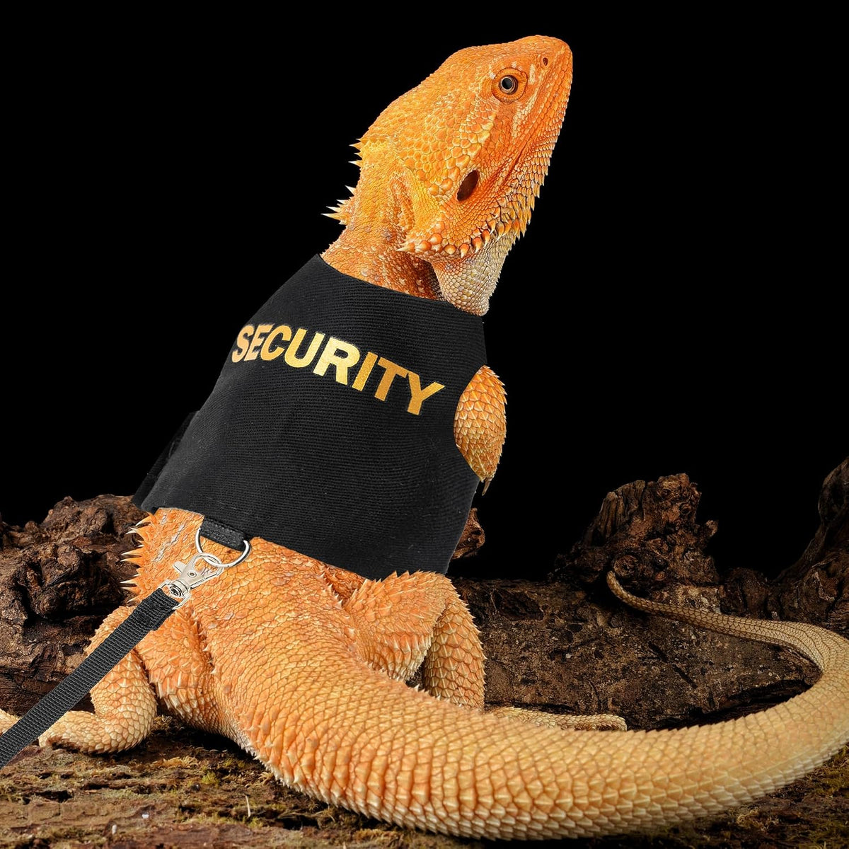 Bearded Dragon Harness and Leash Set, Escape Proof Reptile Vest – Essentials for Reptiles And Amphibians - black - image 3
