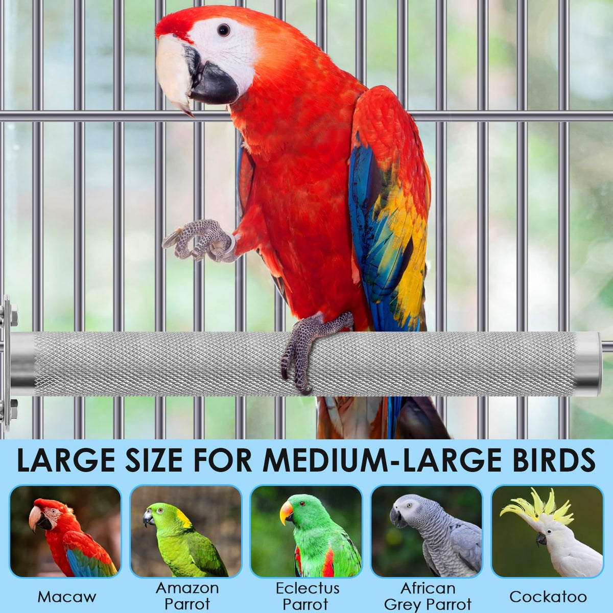 KATUMO Parrot Perch - Stainless Steel African Grey Perch Bird Cage Accessories for Small to Large - S: 6 x 0.7 inch - image 4