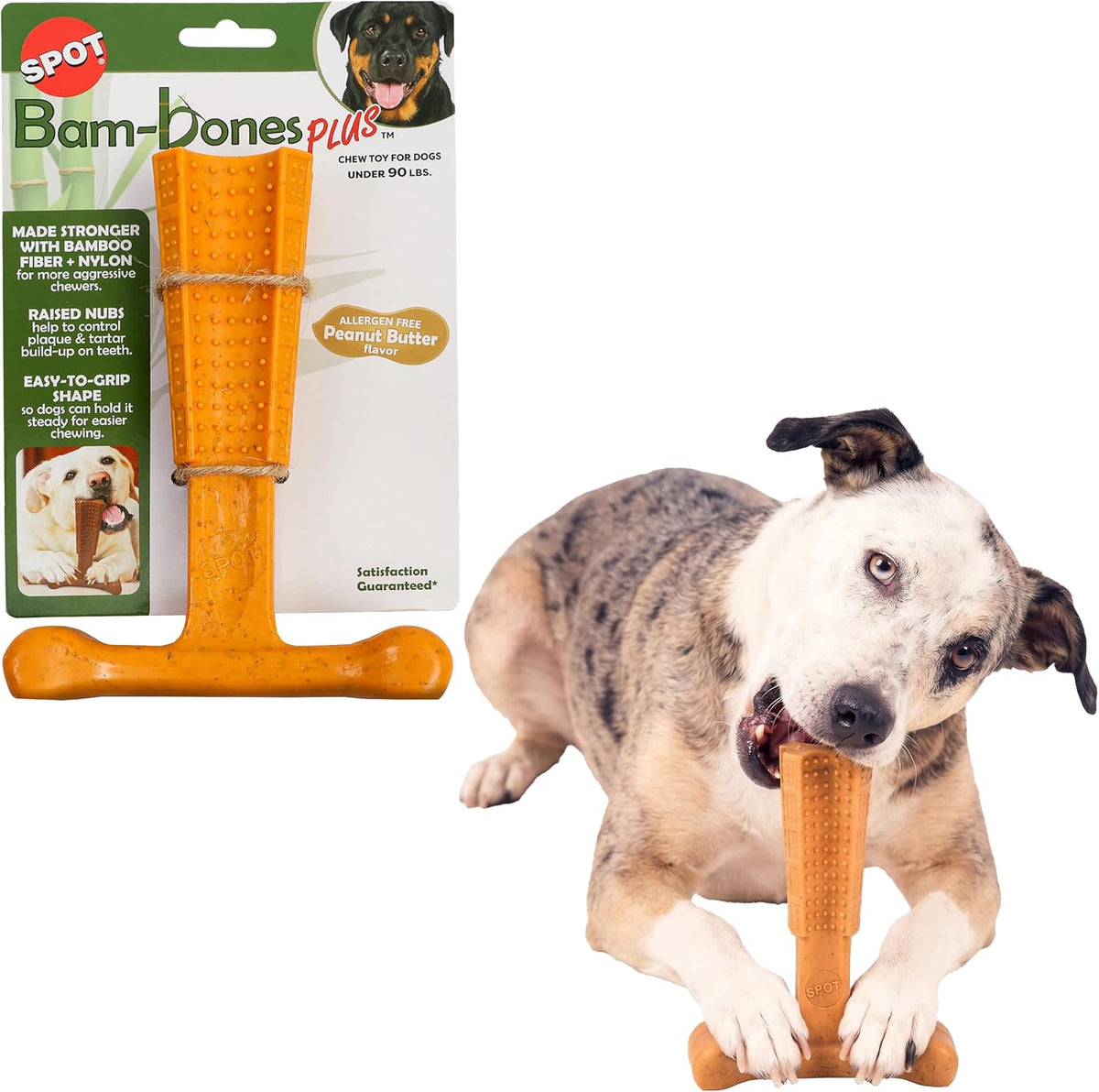 SPOT Bam-Bones Plus T-Bone Dog Chew - Peanut Butter / Large