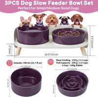 Elevated Slow Feeder Dog Bowls with Splash Proof Stand - Medium / Purple - image 4