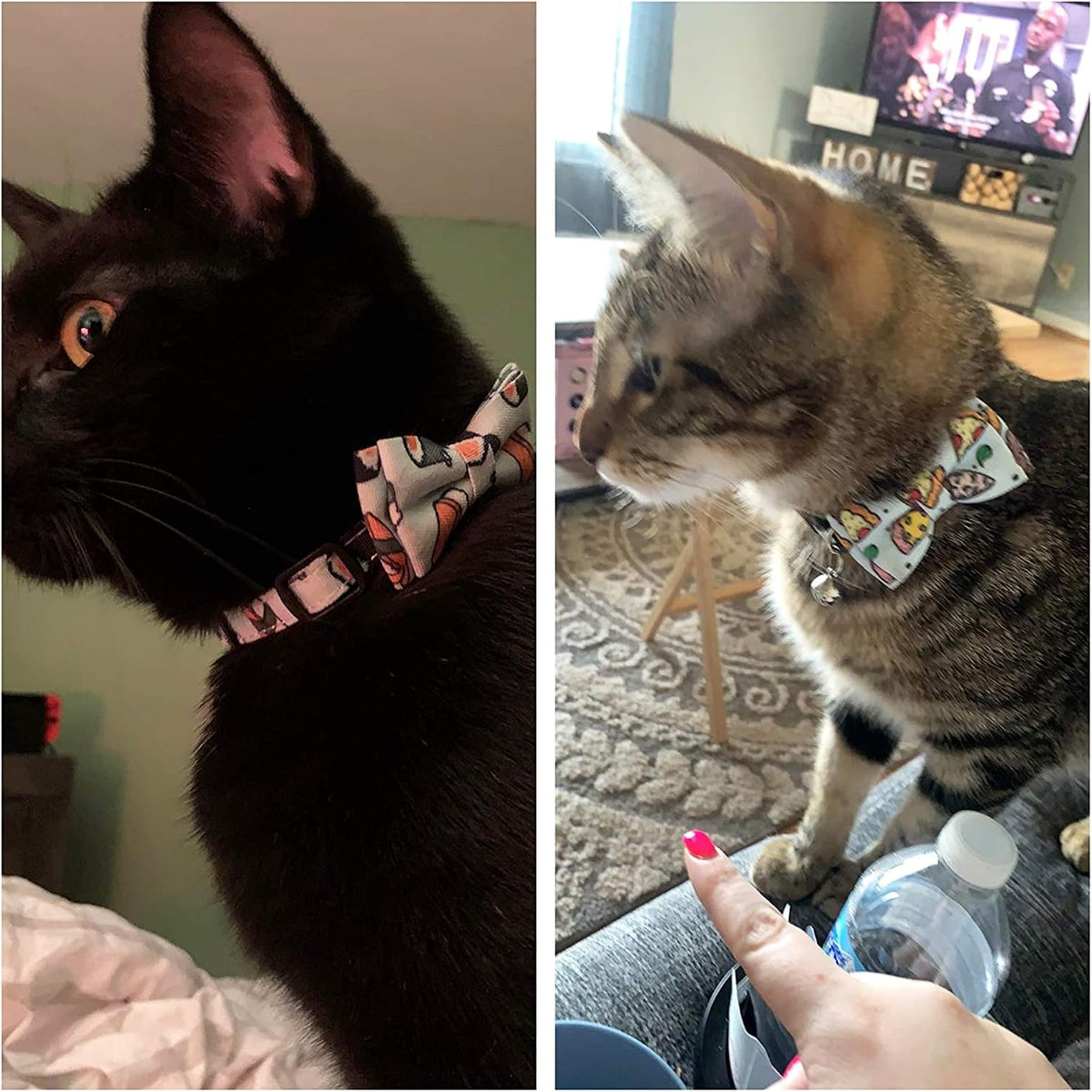 Fall Cat Collar with Bowtie - 7.5"- 10.5" / Pizza & Sushi - image 2