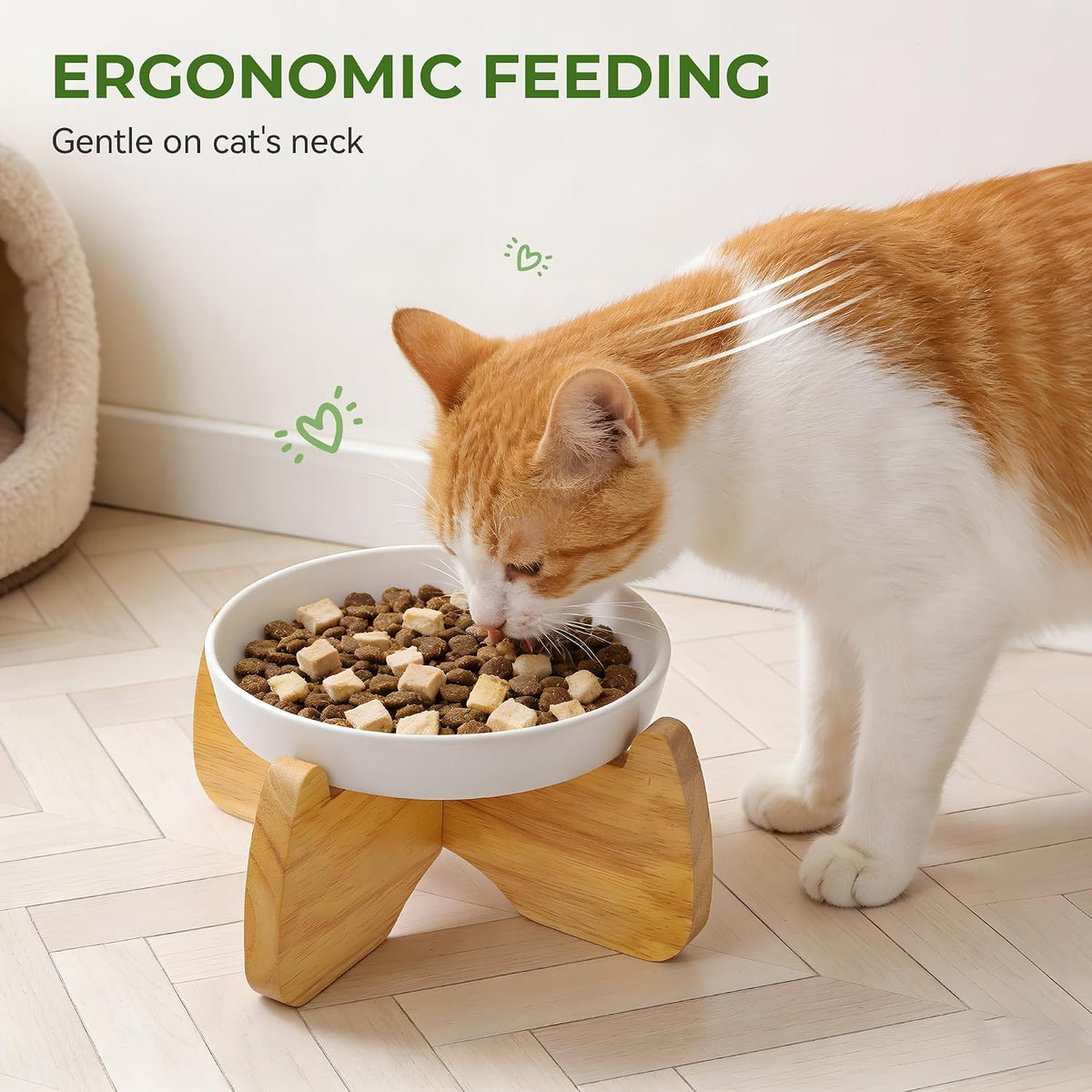 Ceramic Slow Feeder Cat Bowl 6.3" Wide – Essentials for Cats - Raised Flat Bowl (1 Pack) - image 4