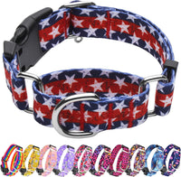Martingale Dog Collar with Buckle - Star / Medium
