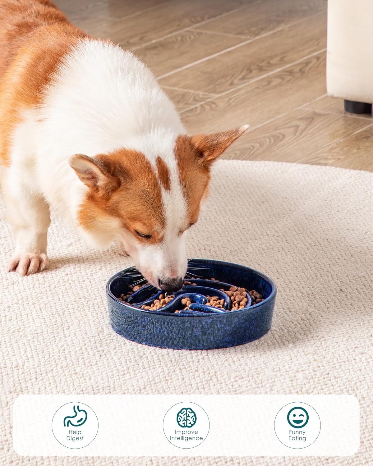 vancasso Slow Feeder Dog Bowl - Blue / 1.5 Cups - image 2