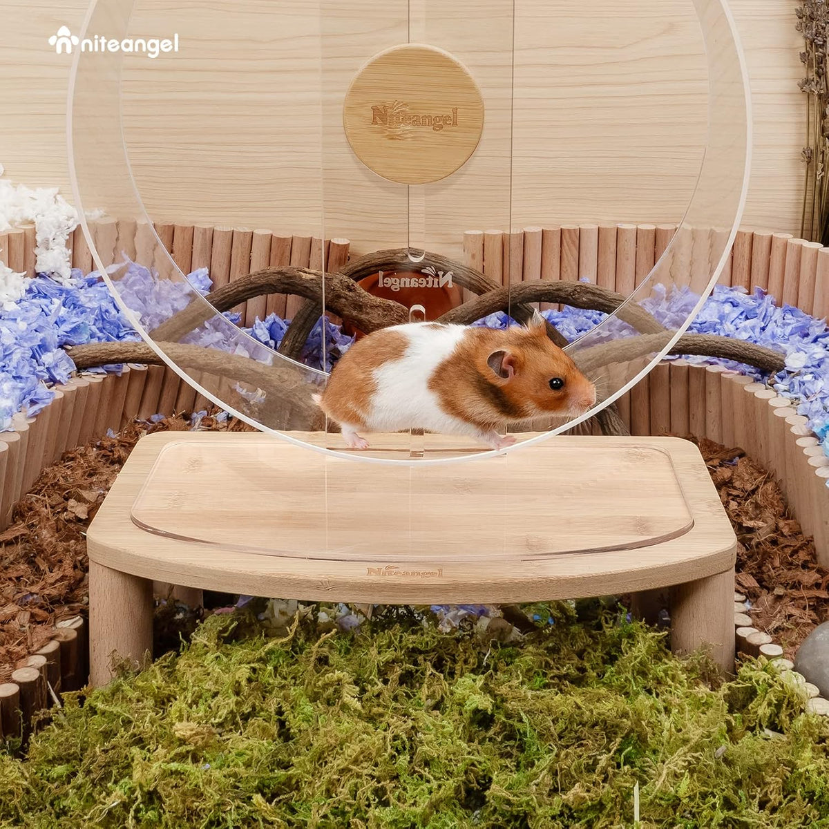 Niteangel Anti-Slide Hamster Wheel Platform: Medium Size & Elevates - Medium - image 3