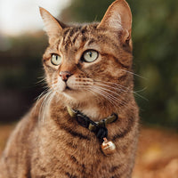 Beau's Bells V2 | Cat & Dog Collar Bells with New Quick Loop Easy Release Clip | Handmade Copper | - Single Bell / Small - image 3