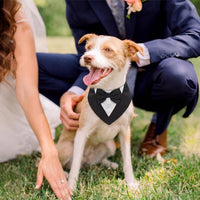 Dog Tuxedo for Small Dogs Valentines Bandana with Bowtie Wedding Tux – Essentials for Dogs - Black / X-Large - image 2