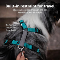 PetSafe 3 in 1 Dog Harness - No Pull Solution for Dogs - Reflective Dog Harness - Front D-Ring Clip Helps Stop Pulling - Comfortable Padded Straps - Top Handle Enhances Control - Plum - Medium