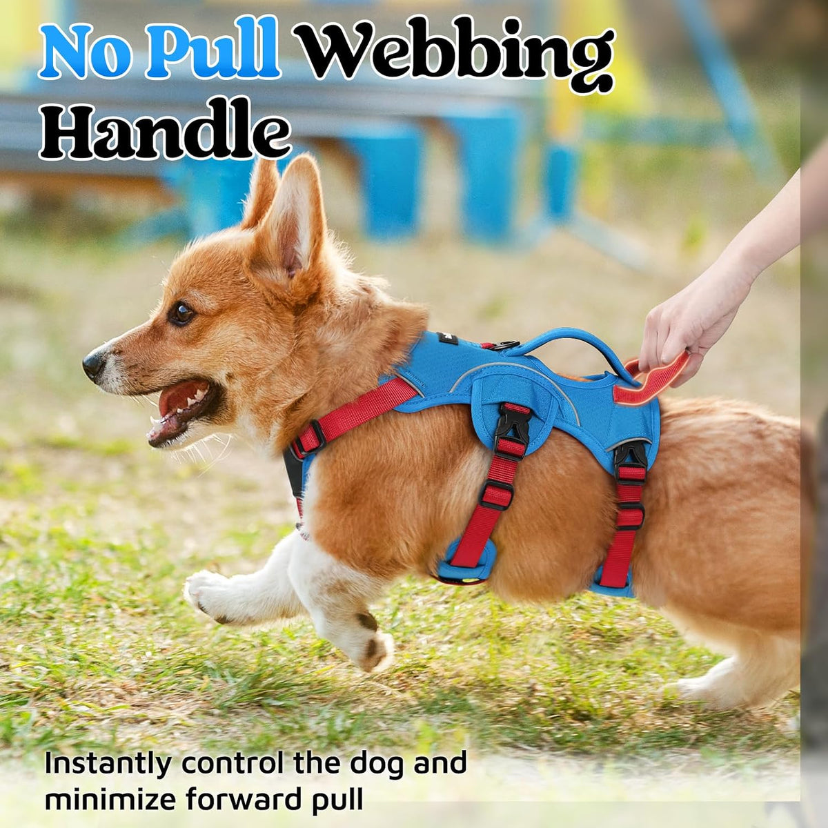 rabbitgoo Escape Proof Dog Harness for Large - Red & Blue / Small - image 4