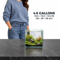 Low Iron Glass Ultra Clear Rimless Aquarium Tank - 4.6Gal 10.2"L×10.2"W×10.2"H - image 2