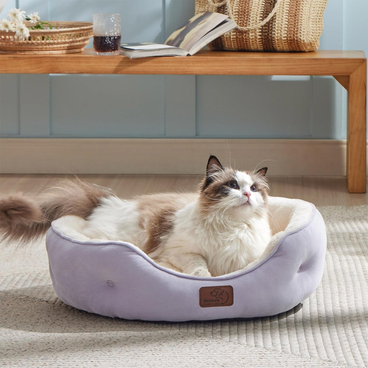 Bedsure Small Dog Bed Washable, Round Cat Beds for Indoor Cats - 20"L x 19"W x 6"Th / Azure Lilac - image 3
