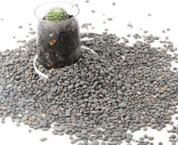 CJGQ Decorative River Rocks Pebbles for Succulents - 2.4lb / Black-Small