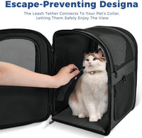 Apollo Walker Cat Backpack Carrier, Support Frame - Black / Medium-Standard - image 3